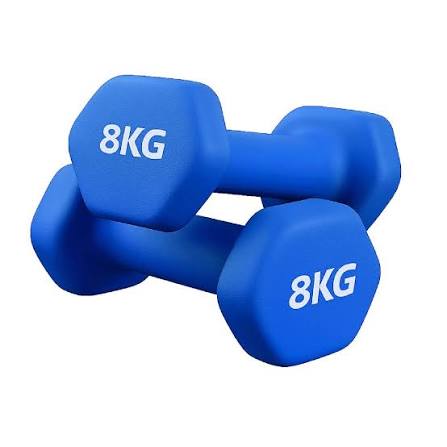 8kg Dumbbell set